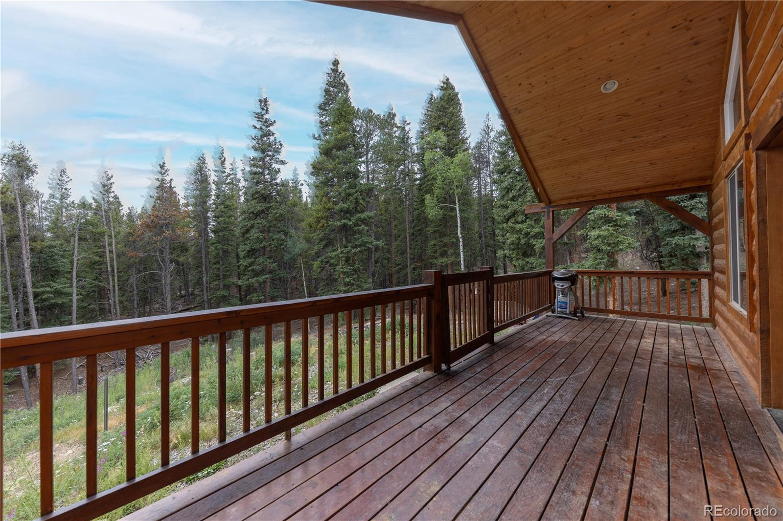 MLS Image #11 for 1034  venture road,fairplay, Colorado