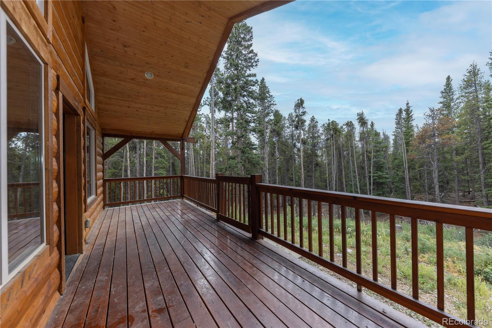 MLS Image #12 for 1034  venture road,fairplay, Colorado