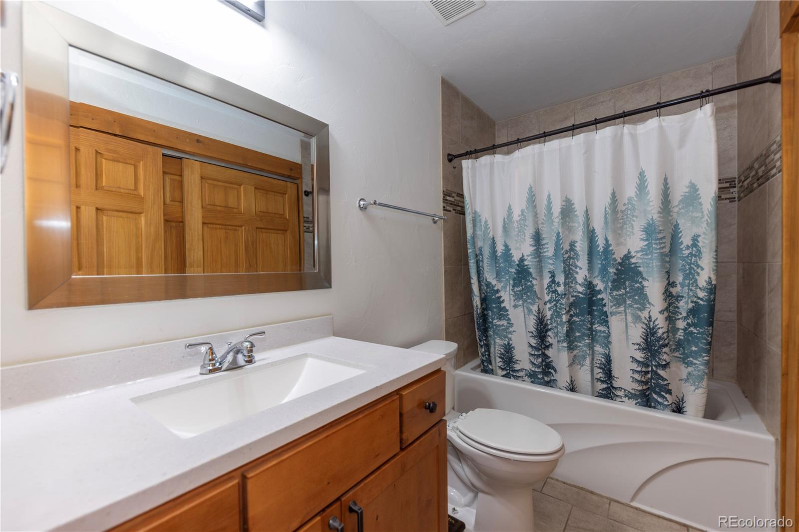 MLS Image #15 for 1034  venture road,fairplay, Colorado
