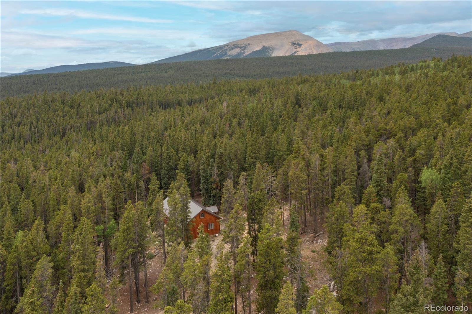 MLS Image #21 for 1034  venture road,fairplay, Colorado