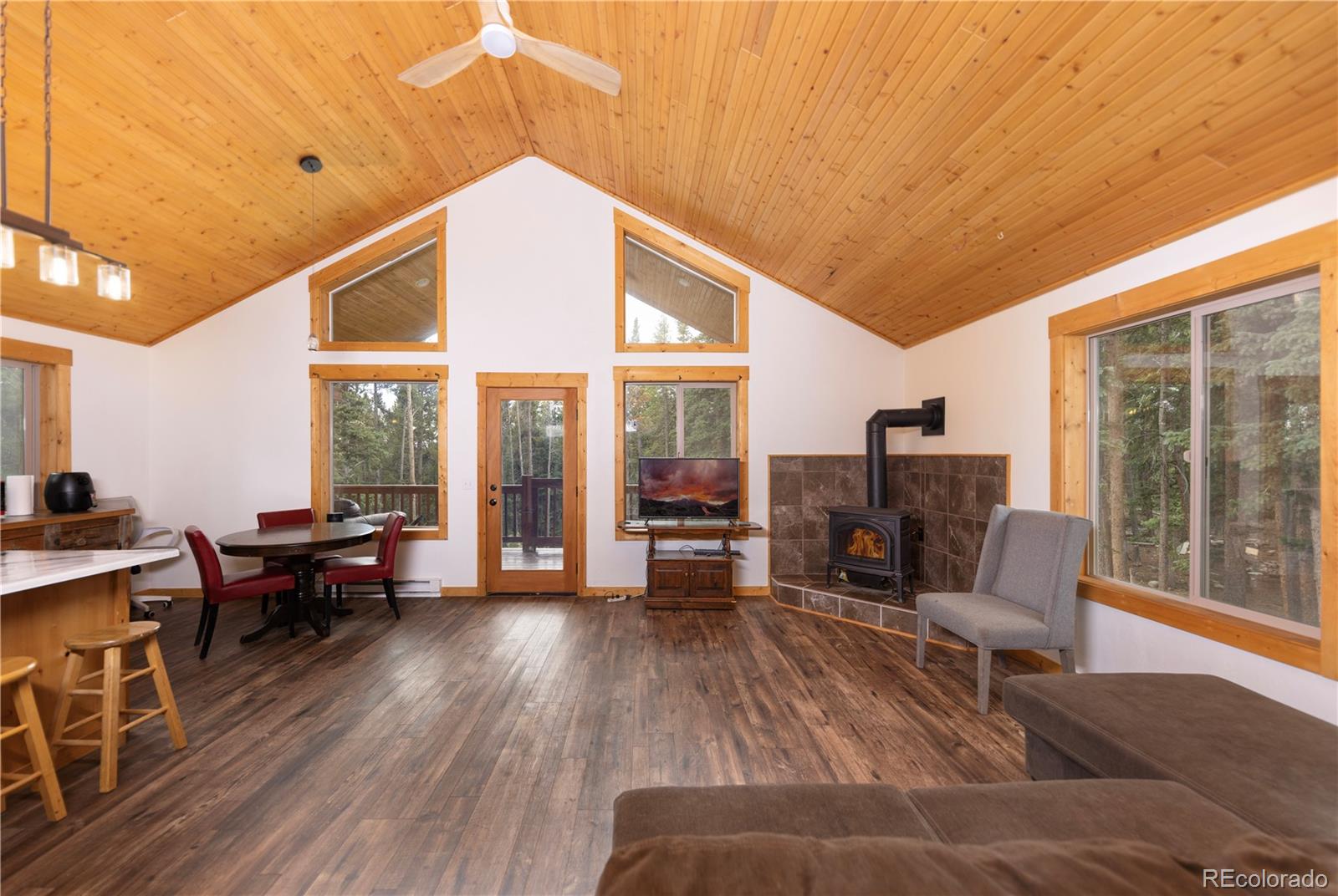 MLS Image #3 for 1034  venture road,fairplay, Colorado