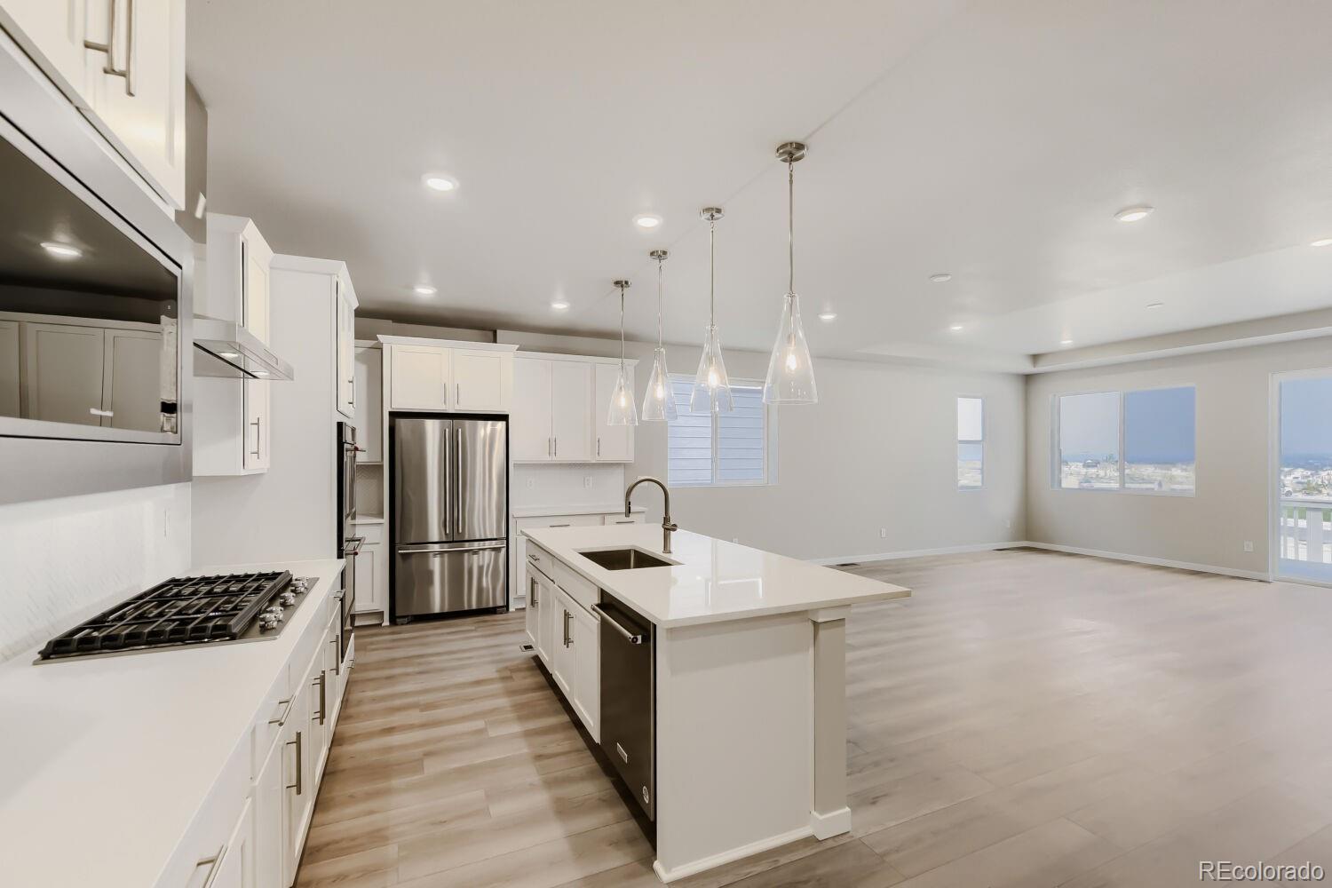 MLS Image #7 for 13584  solaris street,parker, Colorado