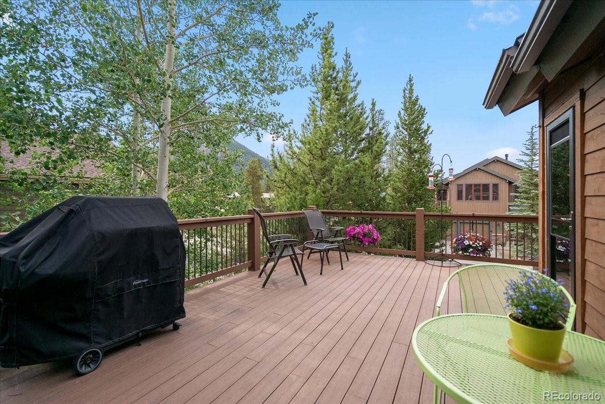 MLS Image #17 for 215  pitkin street,frisco, Colorado