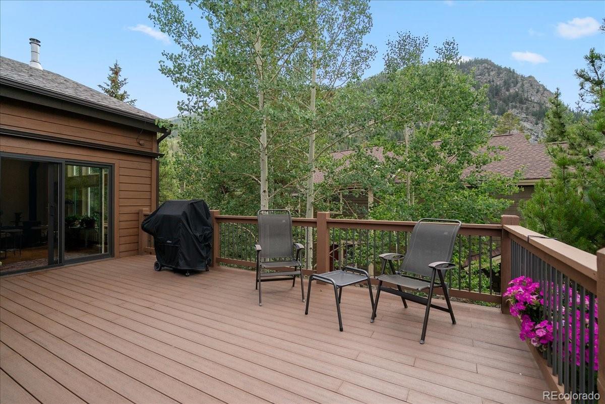 MLS Image #18 for 215  pitkin street,frisco, Colorado