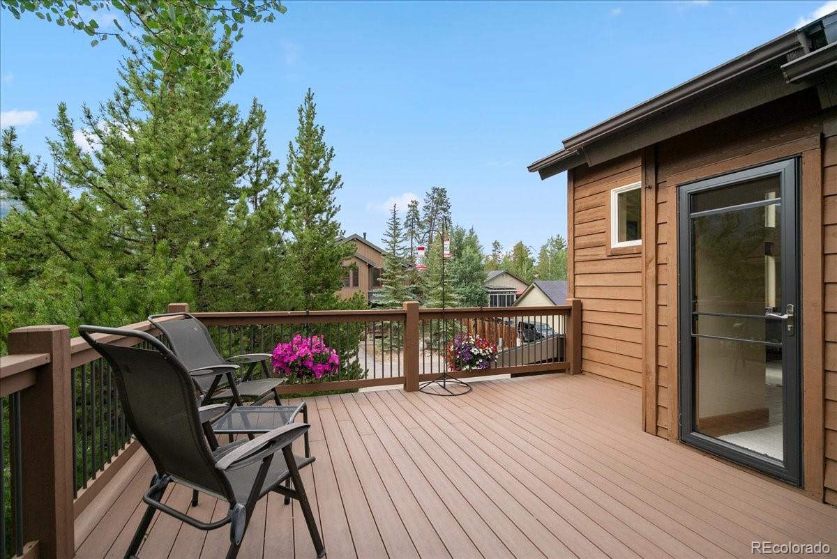 MLS Image #19 for 215  pitkin street,frisco, Colorado