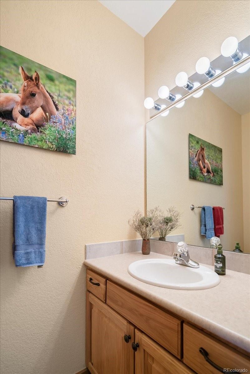 MLS Image #20 for 215  pitkin street,frisco, Colorado