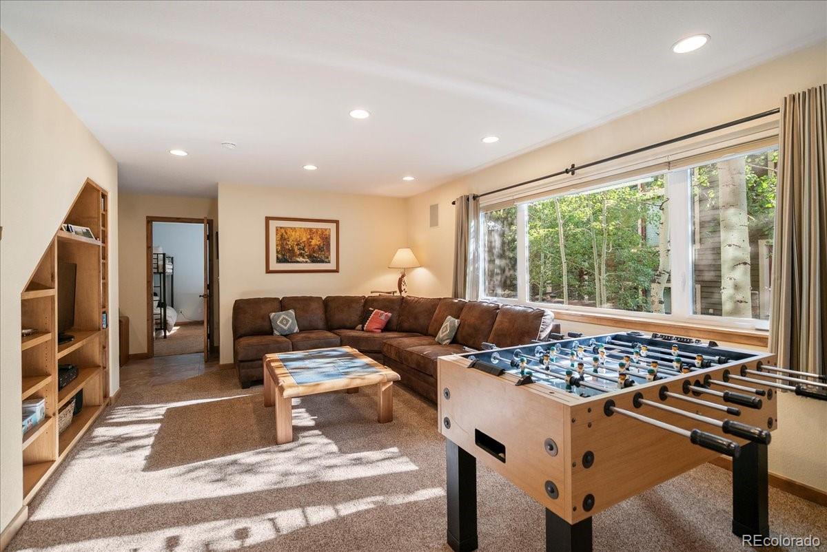MLS Image #28 for 215  pitkin street,frisco, Colorado