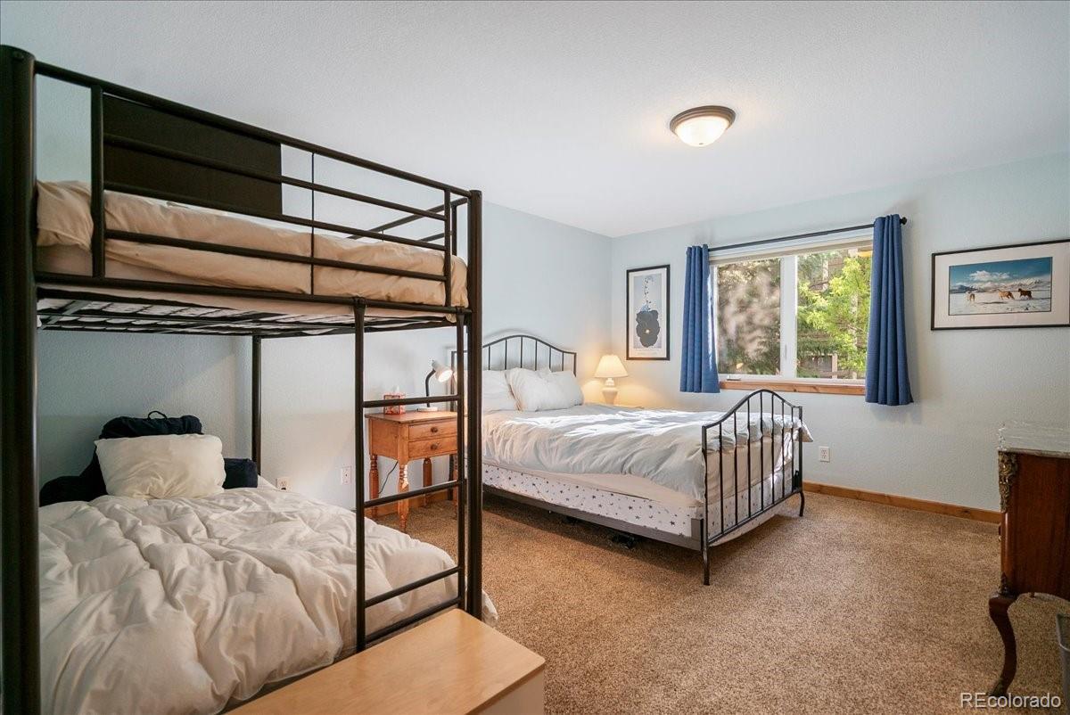 MLS Image #31 for 215  pitkin street,frisco, Colorado