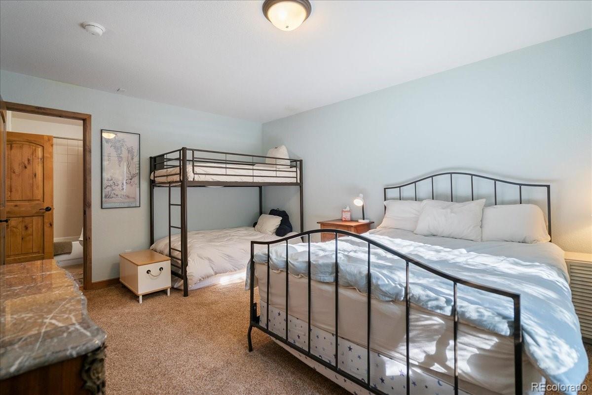 MLS Image #32 for 215  pitkin street,frisco, Colorado