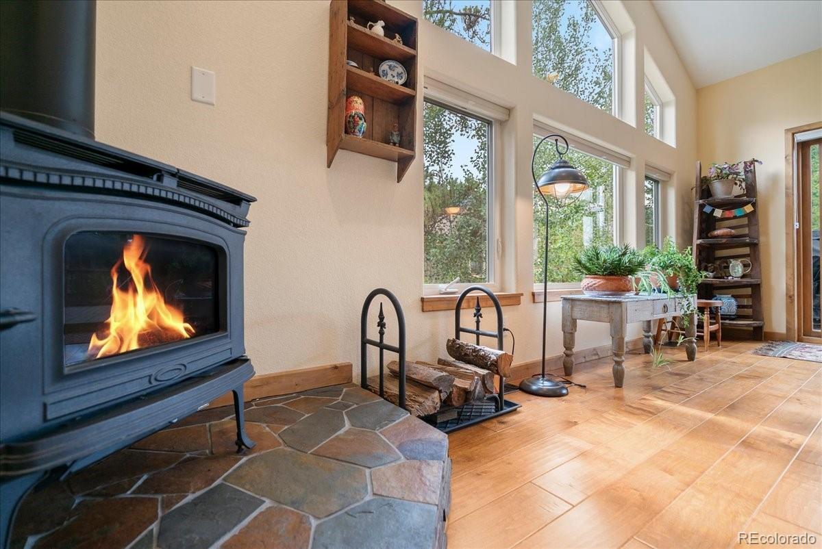 MLS Image #4 for 215  pitkin street,frisco, Colorado
