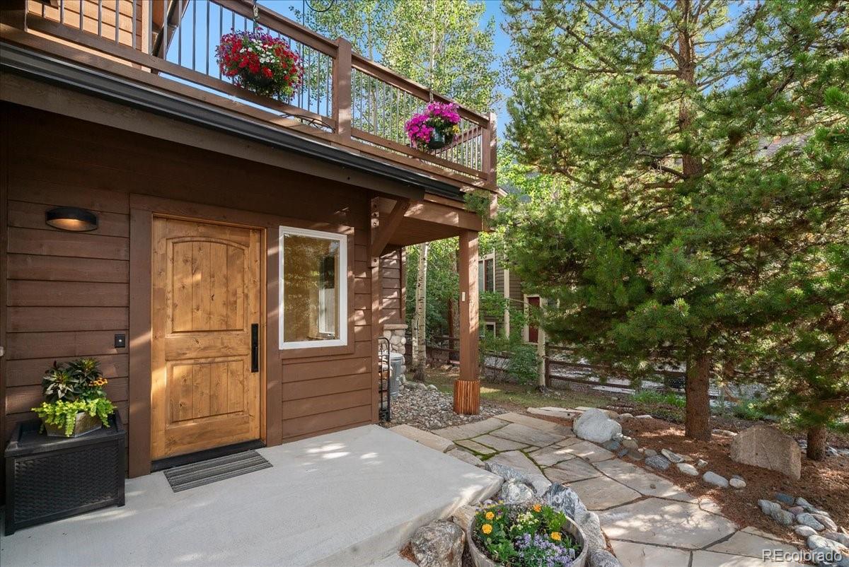 MLS Image #42 for 215  pitkin street,frisco, Colorado