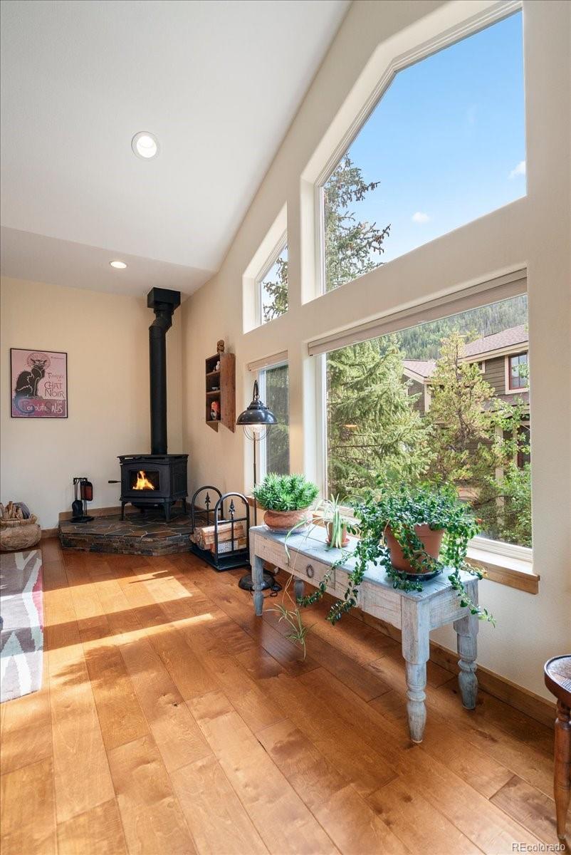 MLS Image #5 for 215  pitkin street,frisco, Colorado