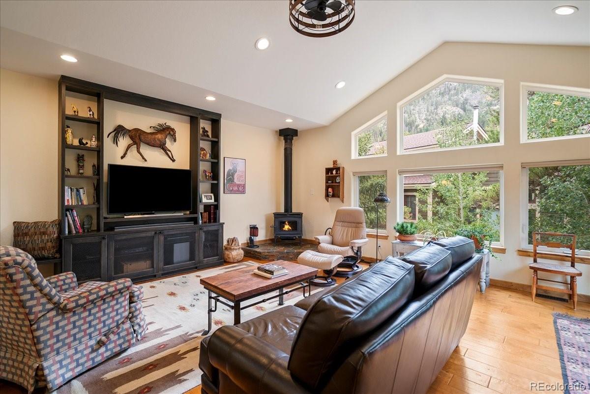 MLS Image #6 for 215  pitkin street,frisco, Colorado