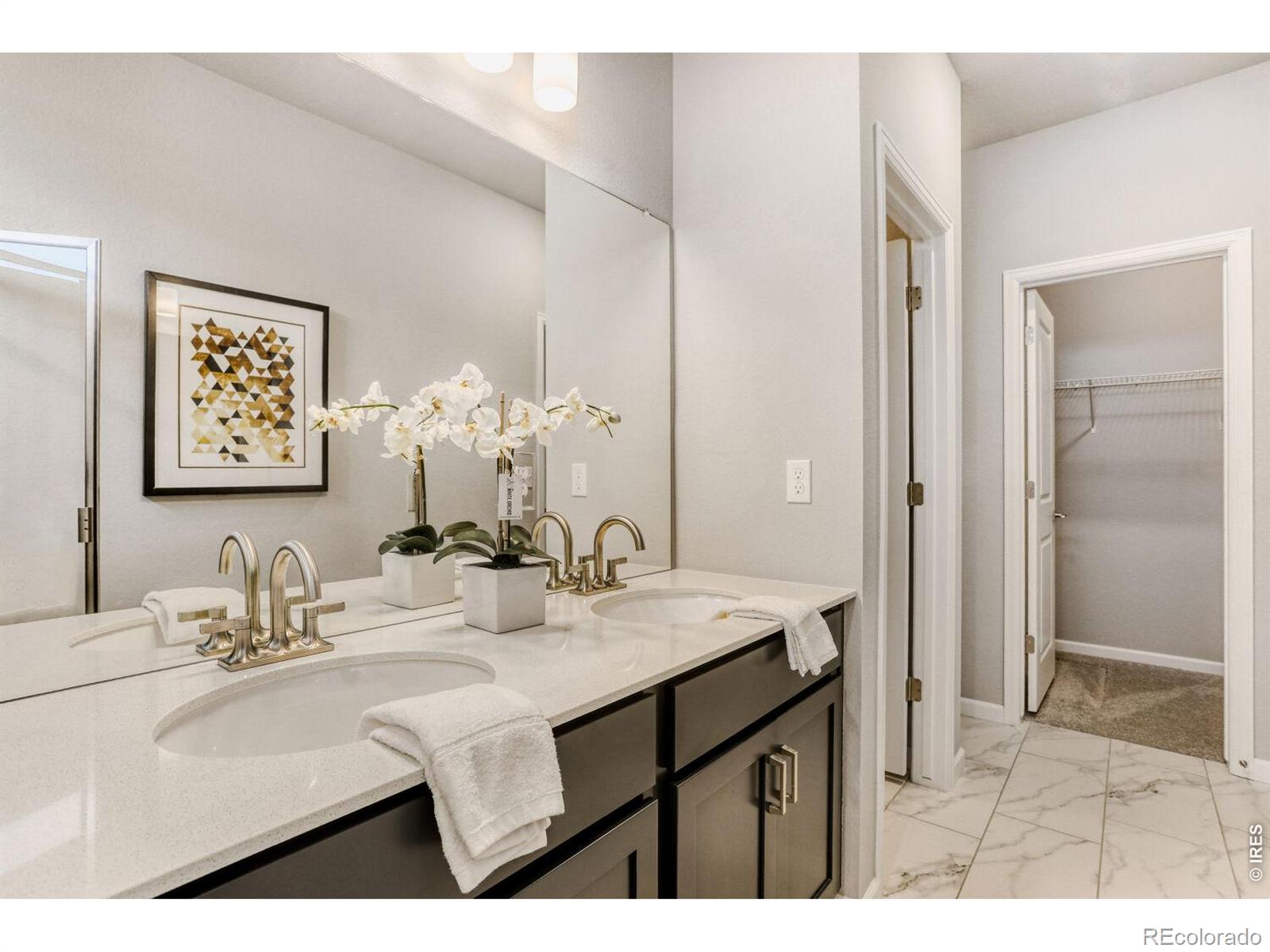 MLS Image #15 for 1830  baltusrol drive,fort collins, Colorado