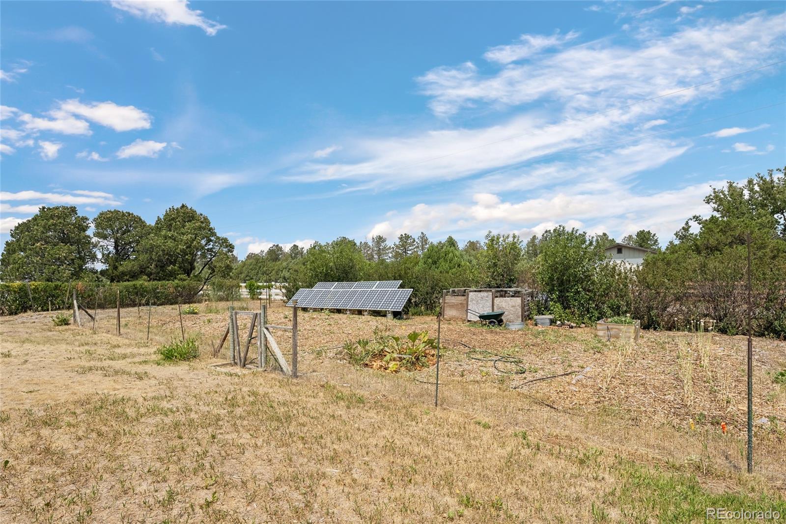 MLS Image #31 for 3904 s russellville road,franktown, Colorado
