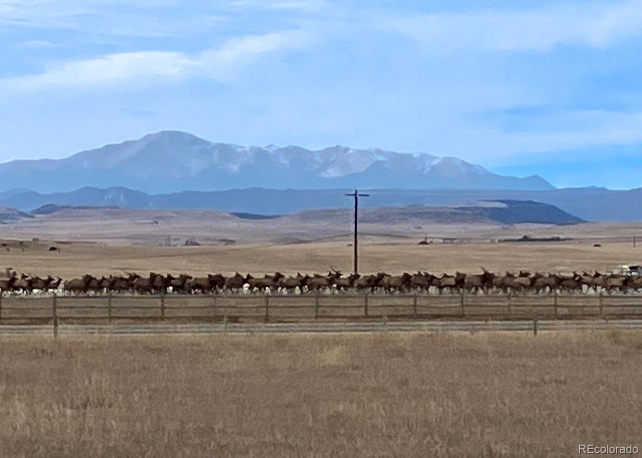 MLS Image #34 for 3904 s russellville road,franktown, Colorado