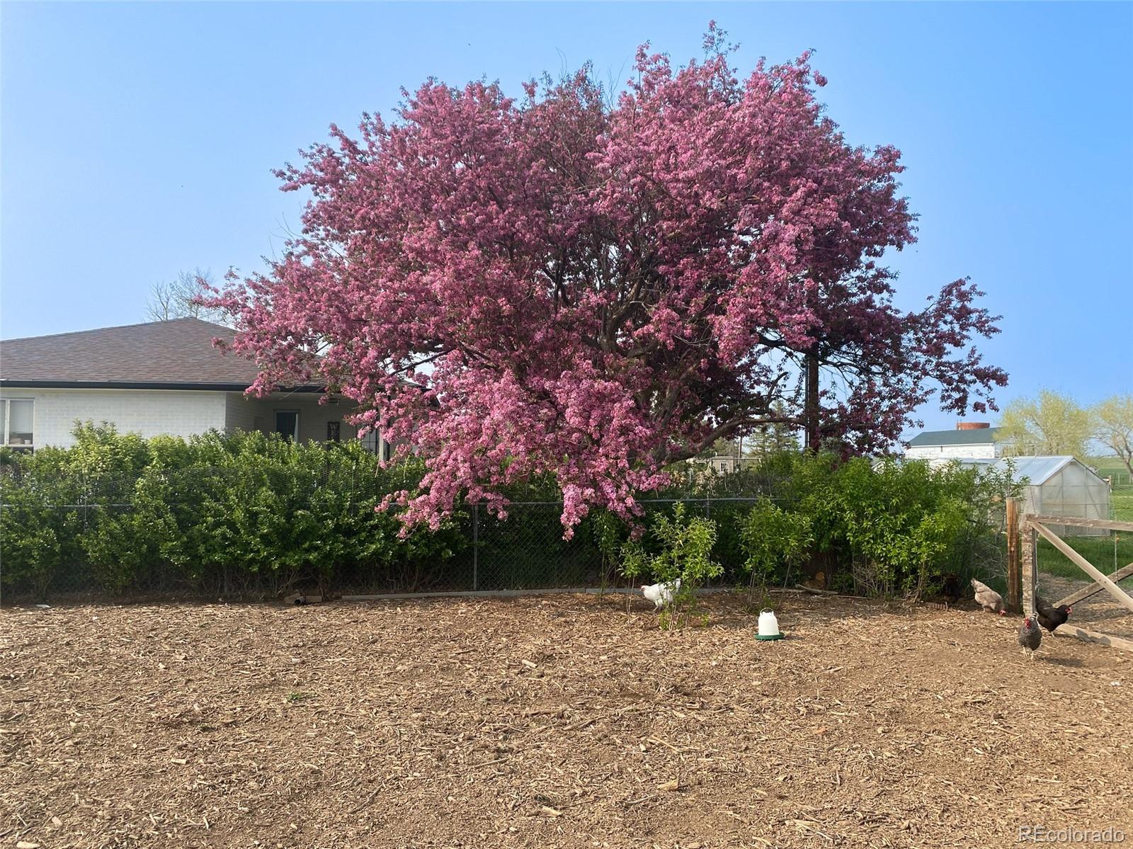 MLS Image #35 for 3904 s russellville road,franktown, Colorado