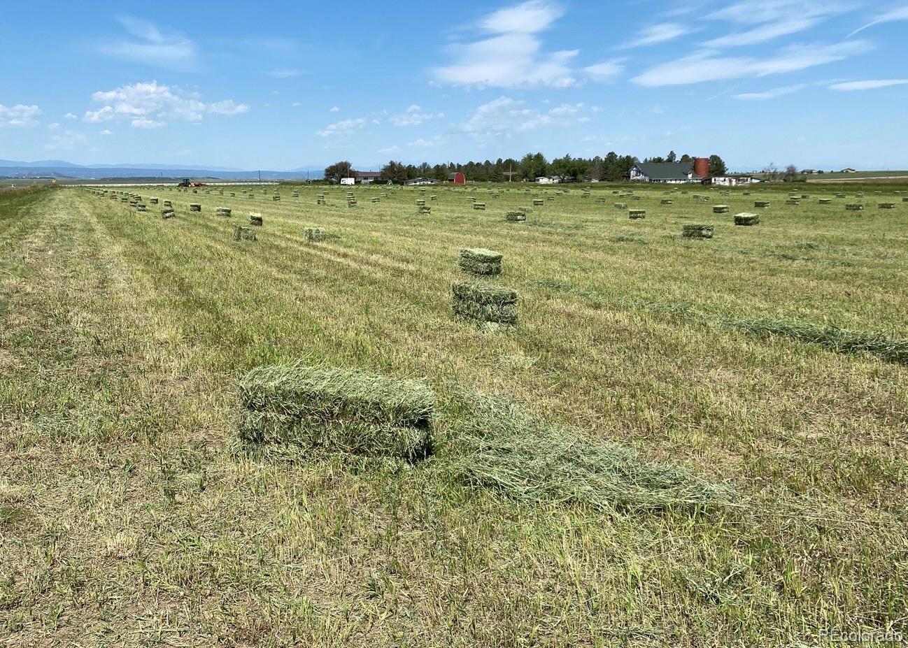 MLS Image #36 for 3904 s russellville road,franktown, Colorado