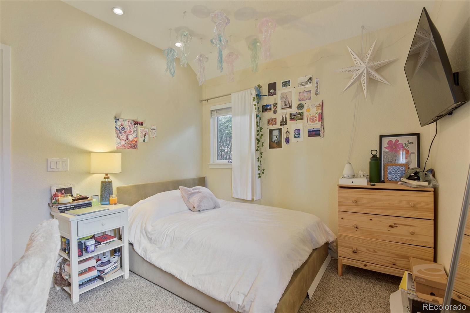 MLS Image #18 for 2940  ivanhoe street,denver, Colorado