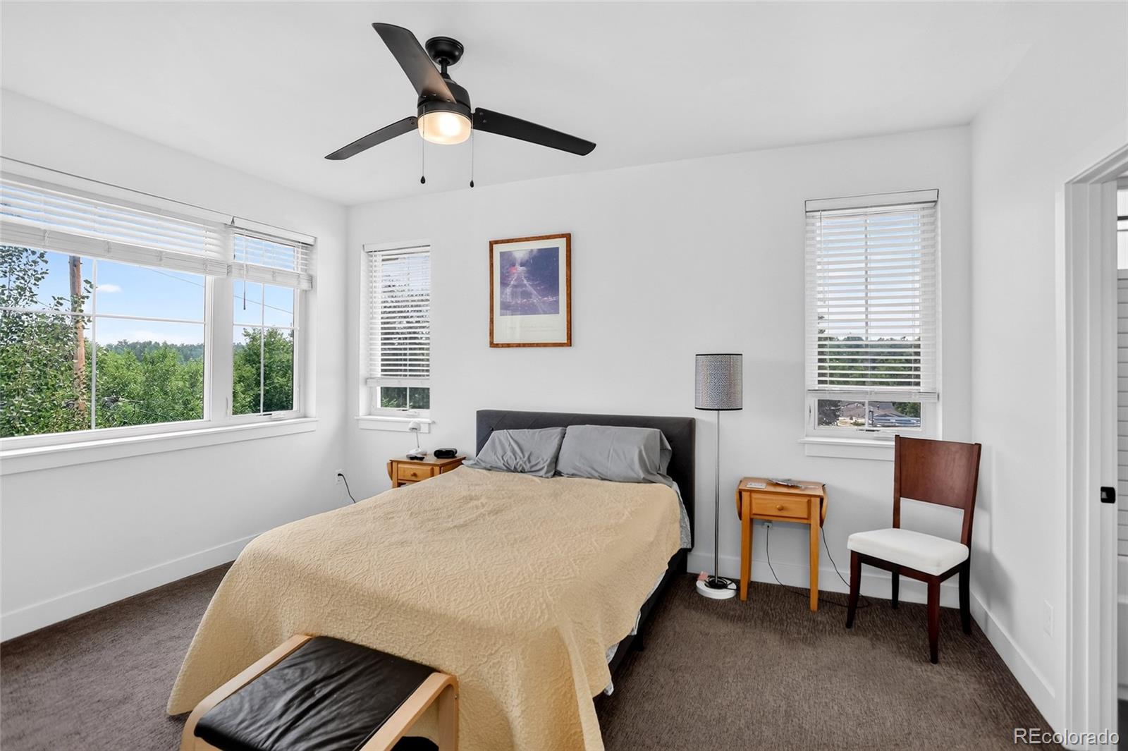 MLS Image #18 for 948  raleigh street,denver, Colorado