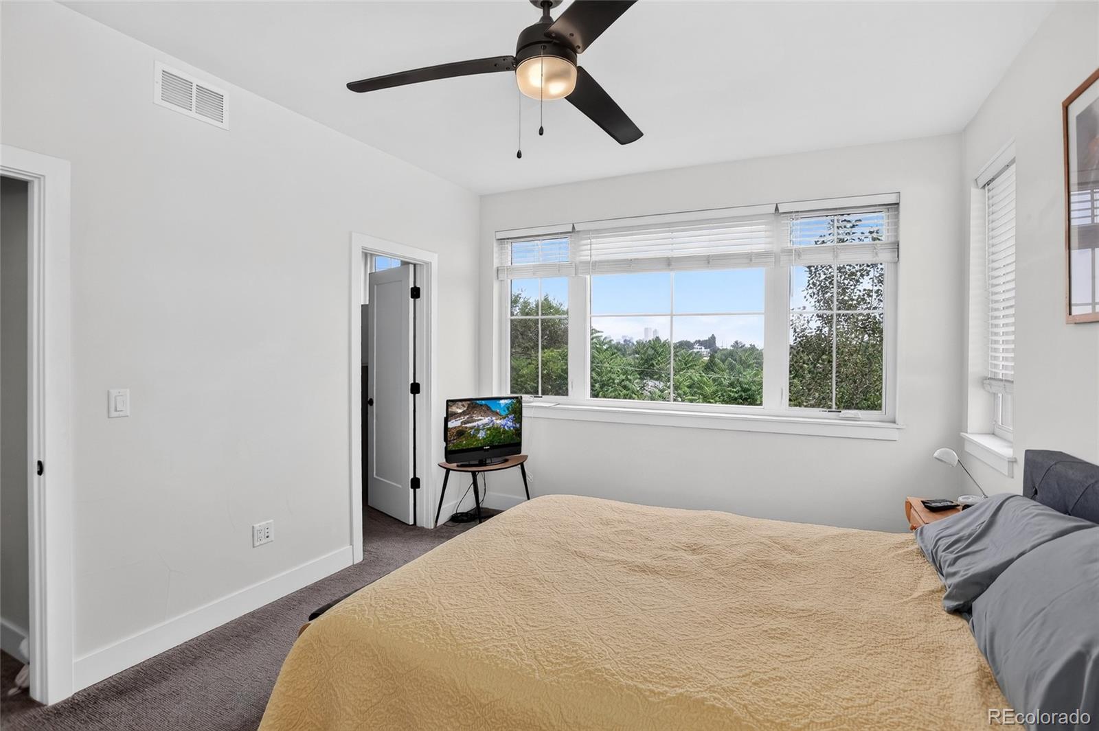 MLS Image #21 for 948  raleigh street,denver, Colorado