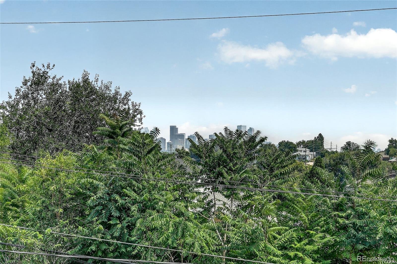 MLS Image #22 for 948  raleigh street,denver, Colorado