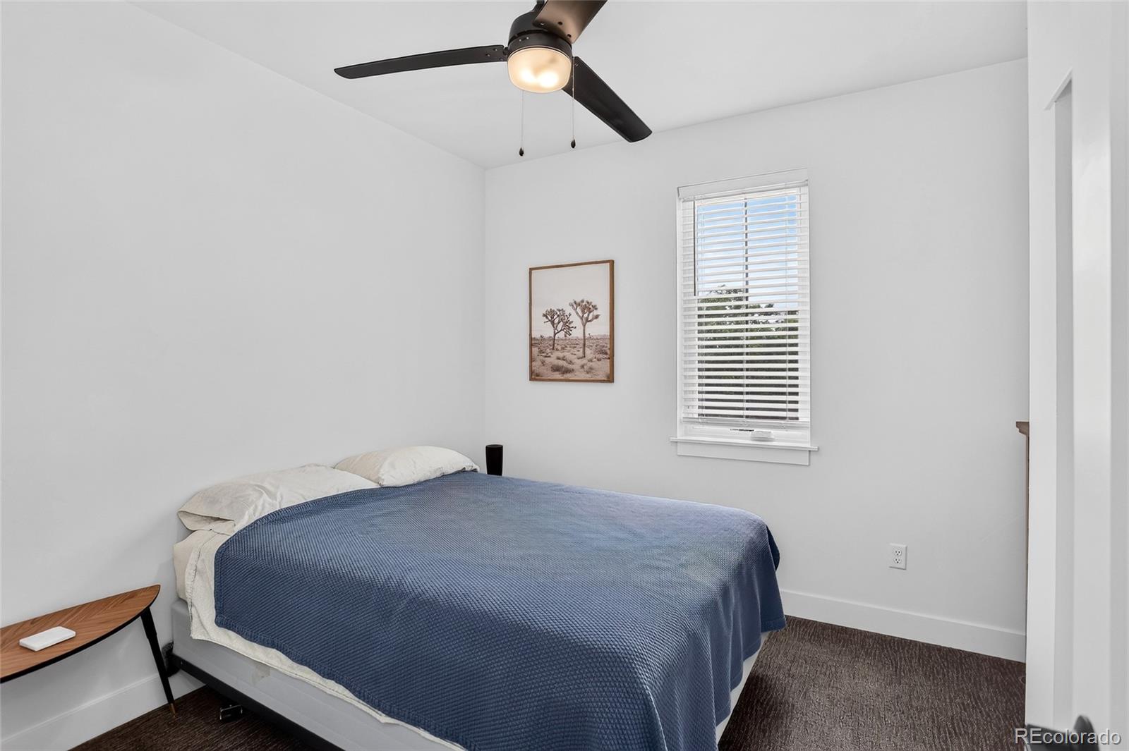 MLS Image #27 for 948  raleigh street,denver, Colorado
