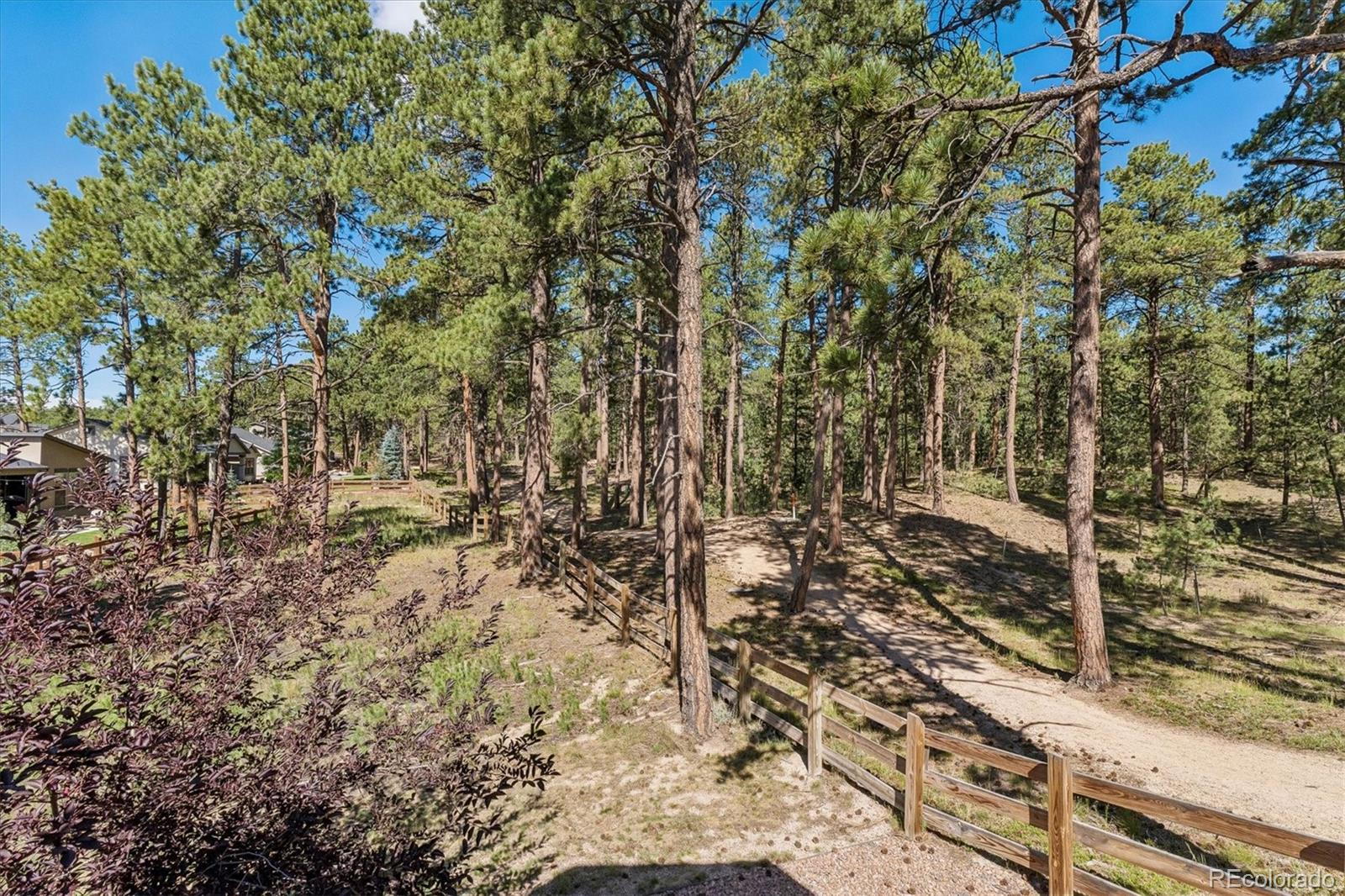 MLS Image #28 for 16483  mountain mist drive,monument, Colorado