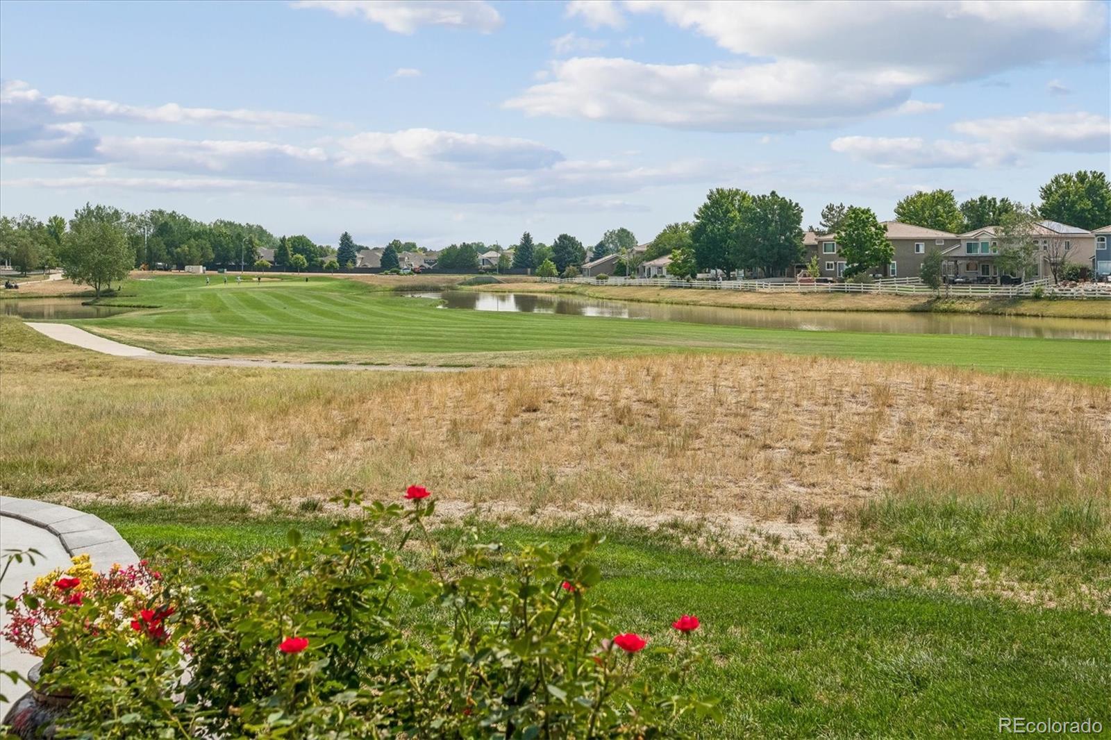 MLS Image #39 for 14060  turnberry court,broomfield, Colorado