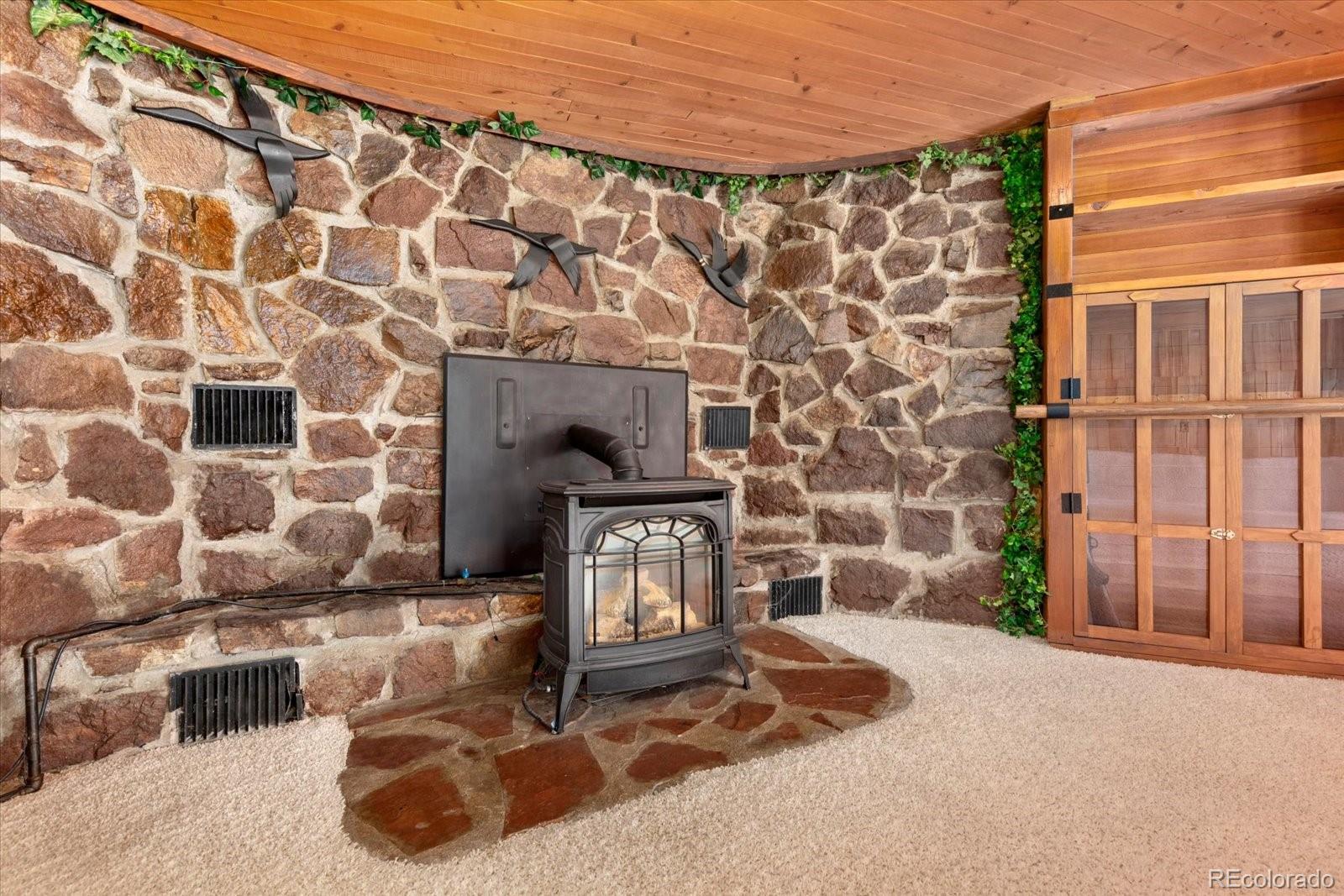 MLS Image #12 for 247  true avenue,poncha springs, Colorado
