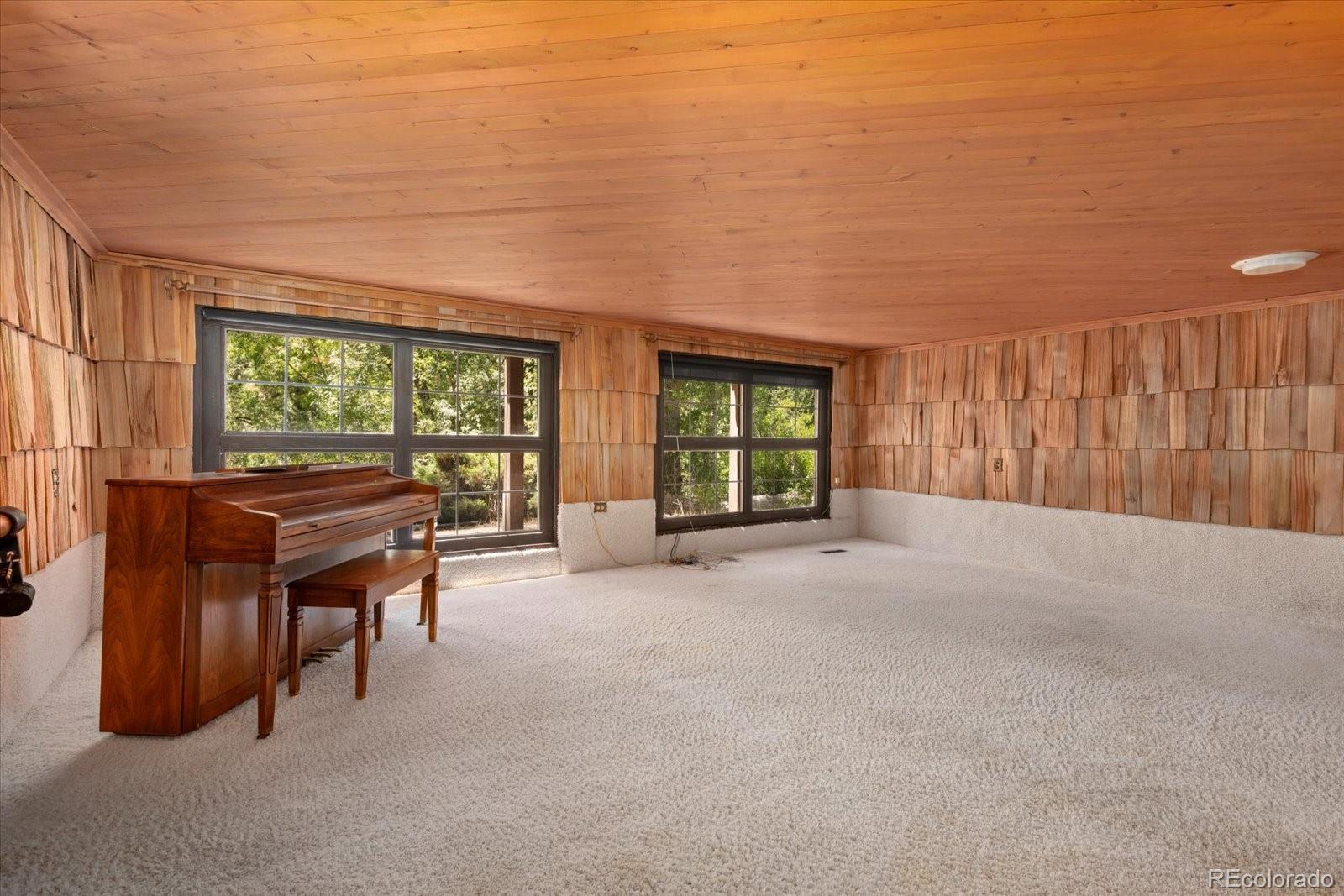 MLS Image #13 for 247  true avenue,poncha springs, Colorado