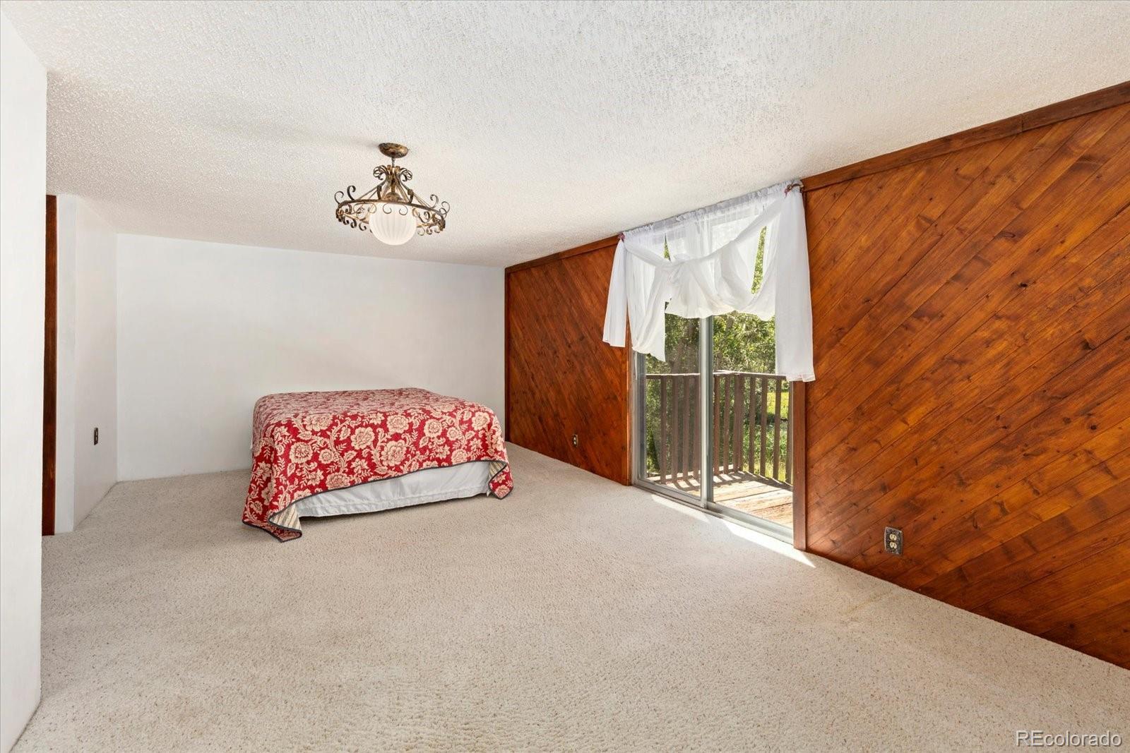 MLS Image #21 for 247  true avenue,poncha springs, Colorado