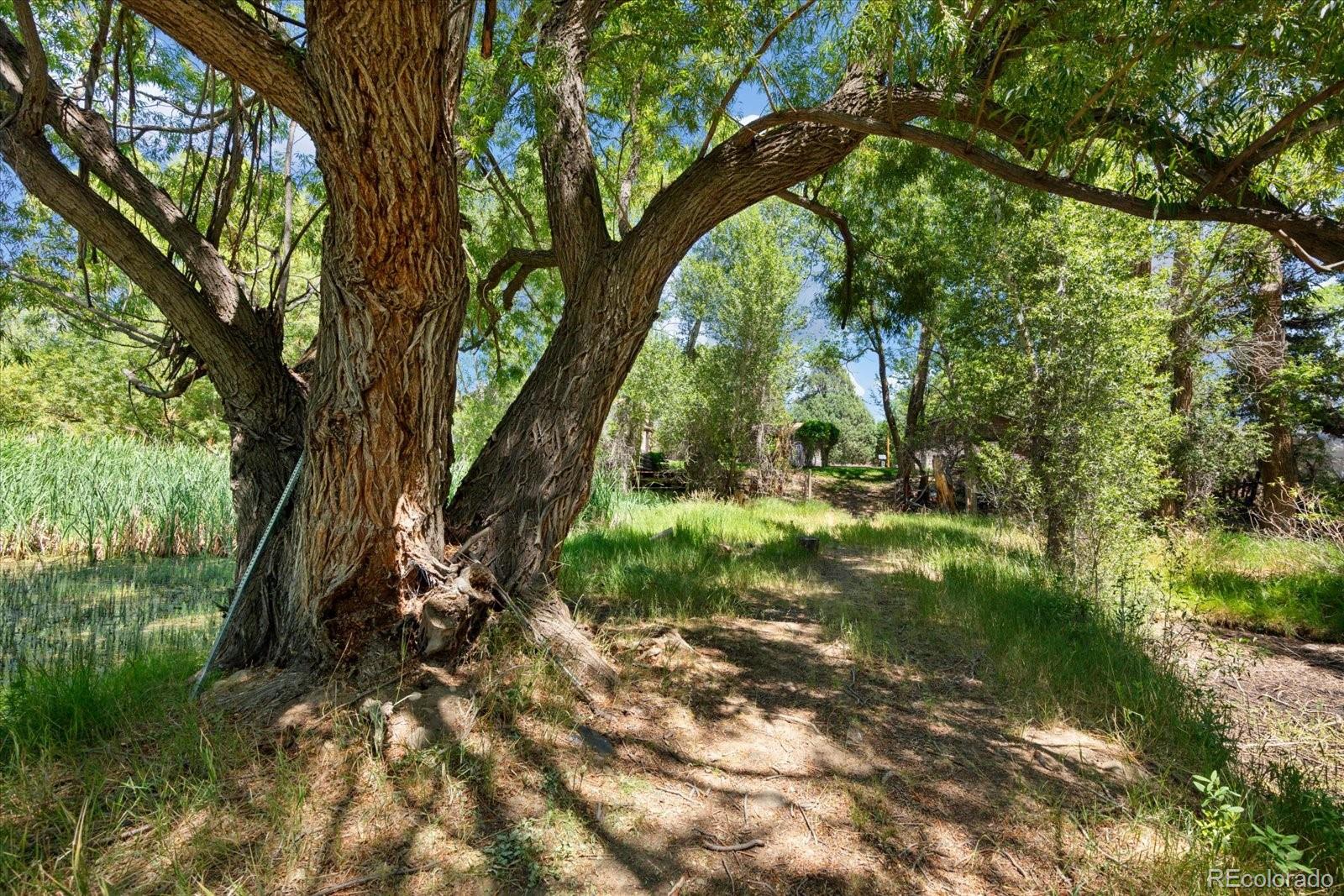 MLS Image #41 for 247  true avenue,poncha springs, Colorado