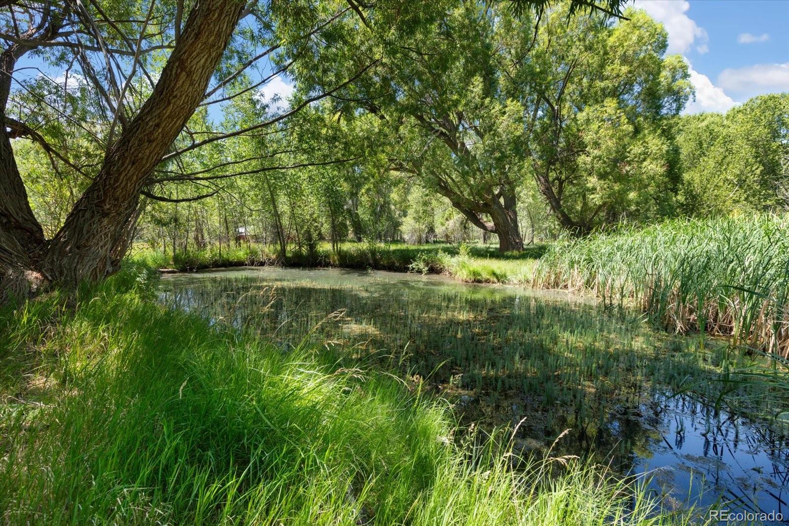 MLS Image #42 for 247  true avenue,poncha springs, Colorado