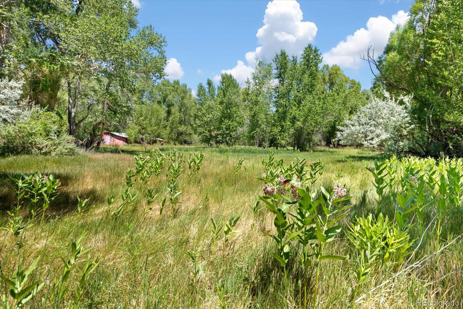 MLS Image #43 for 247  true avenue,poncha springs, Colorado