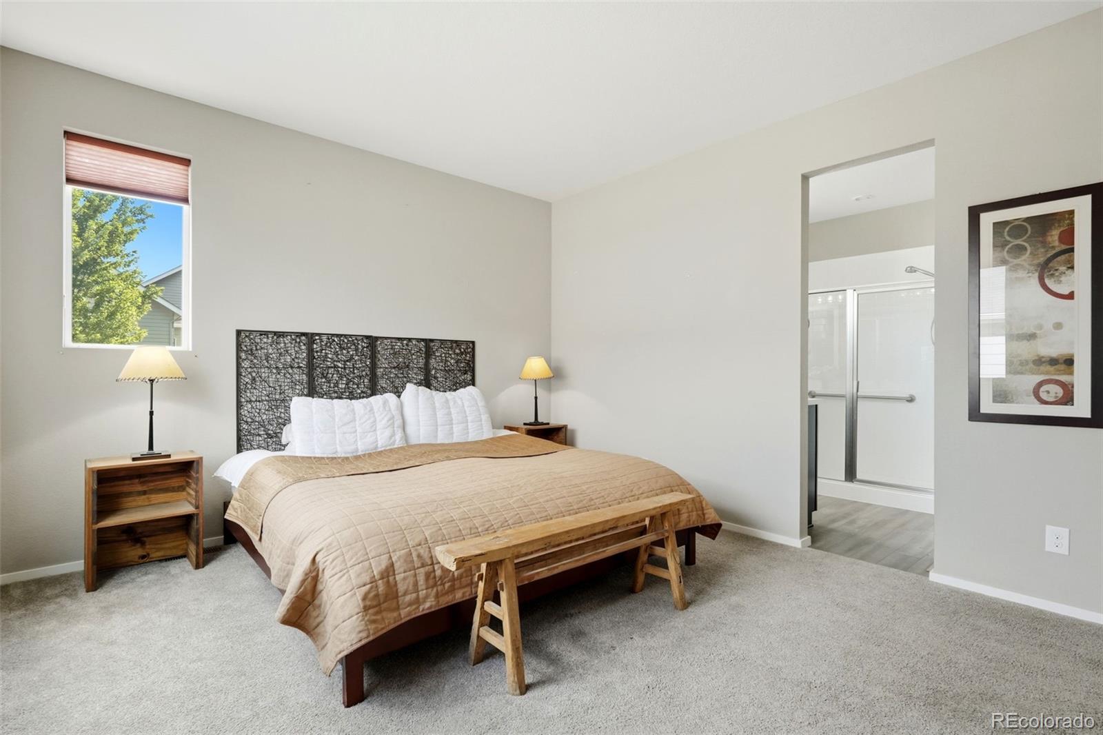 MLS Image #14 for 4809  mt shavano street,brighton, Colorado