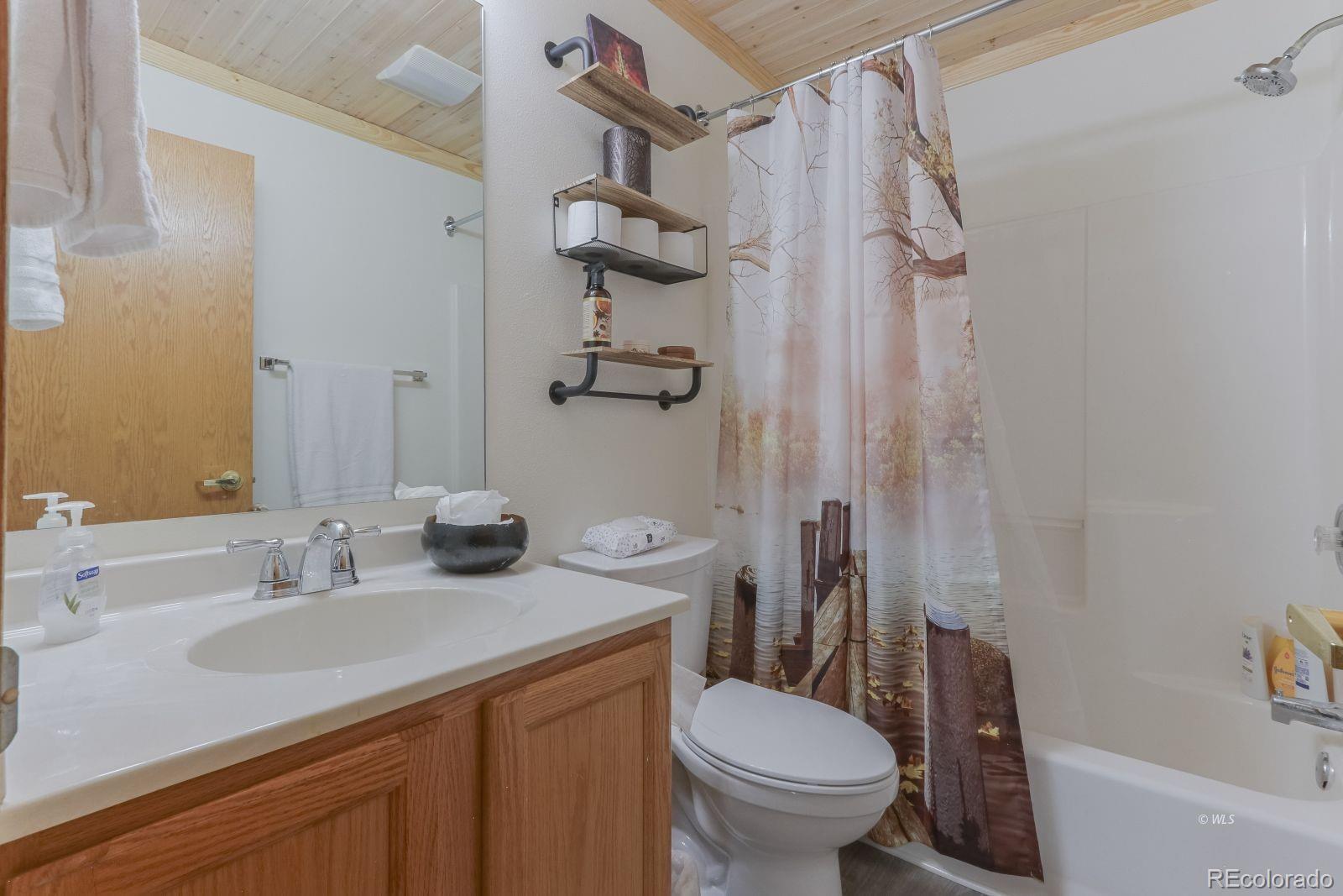 MLS Image #13 for 1850  cody park road,cotopaxi, Colorado