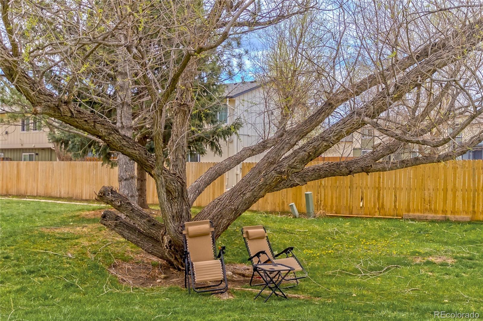 MLS Image #35 for 329  butch cassidy drive,fort collins, Colorado