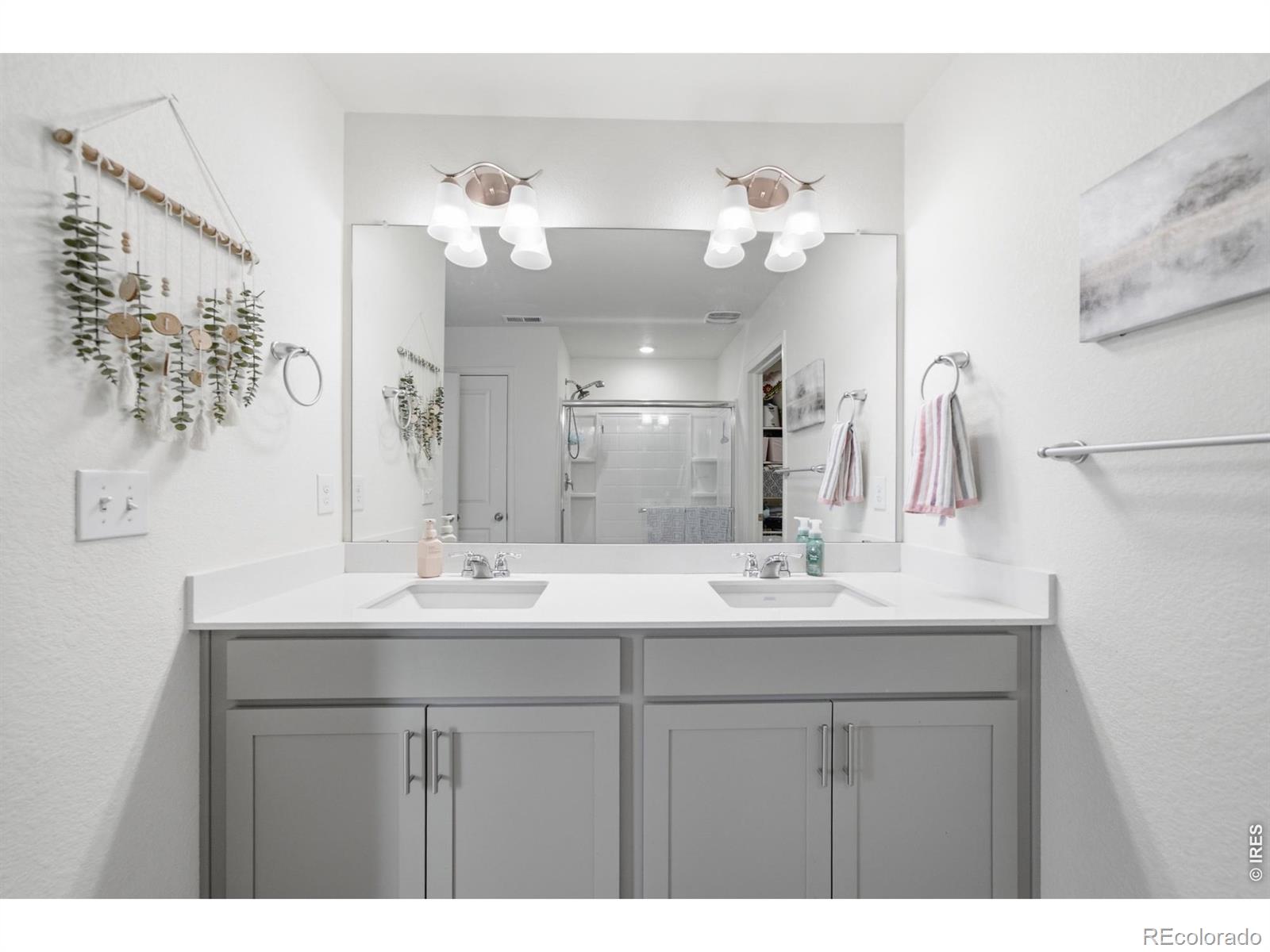 MLS Image #20 for 1347  copeland falls road,severance, Colorado