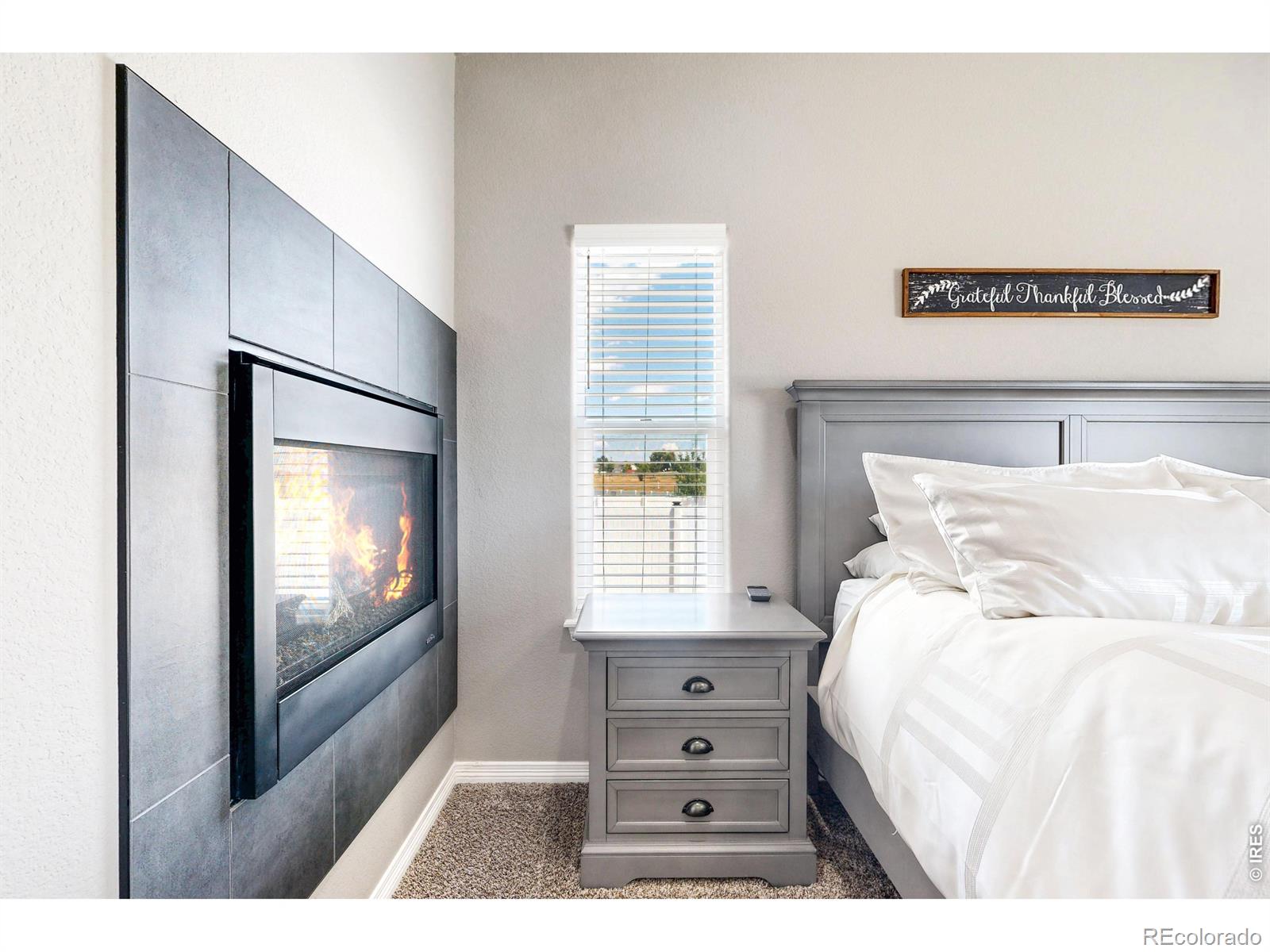 MLS Image #18 for 1799  tinkers drive,windsor, Colorado