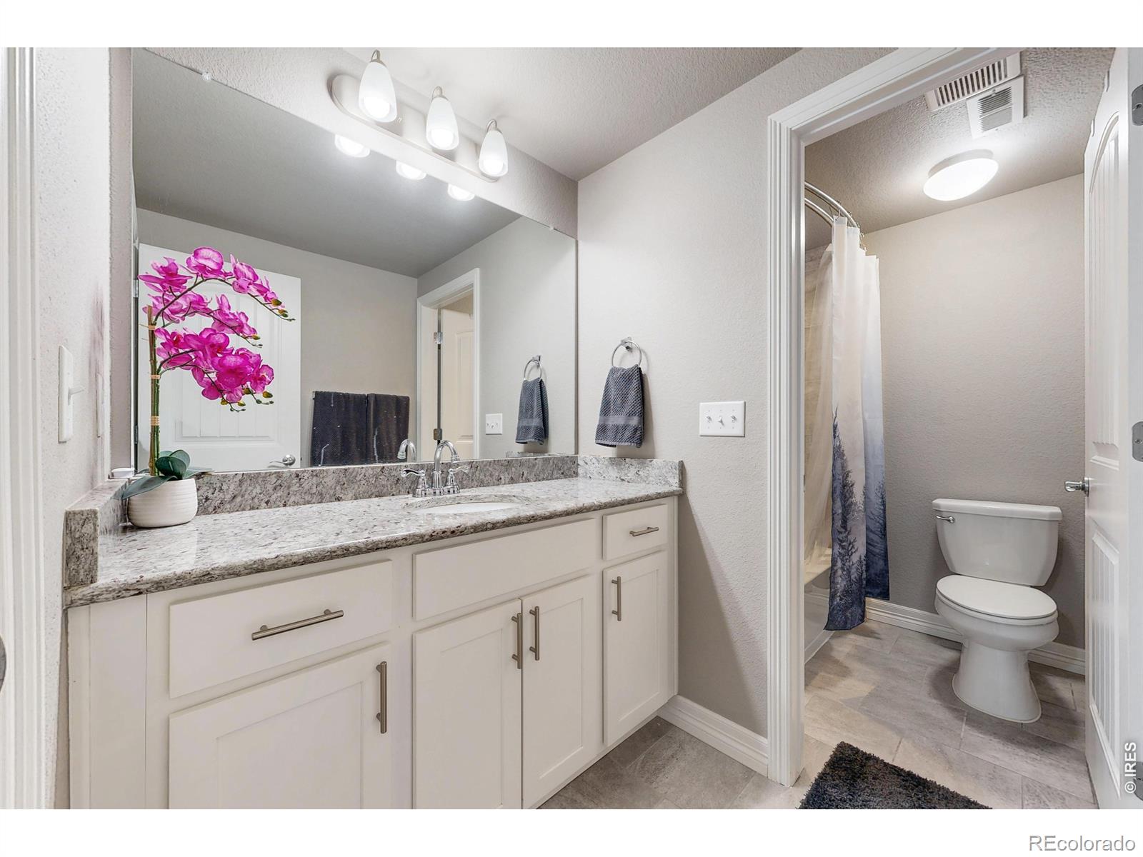 MLS Image #36 for 1799  tinkers drive,windsor, Colorado