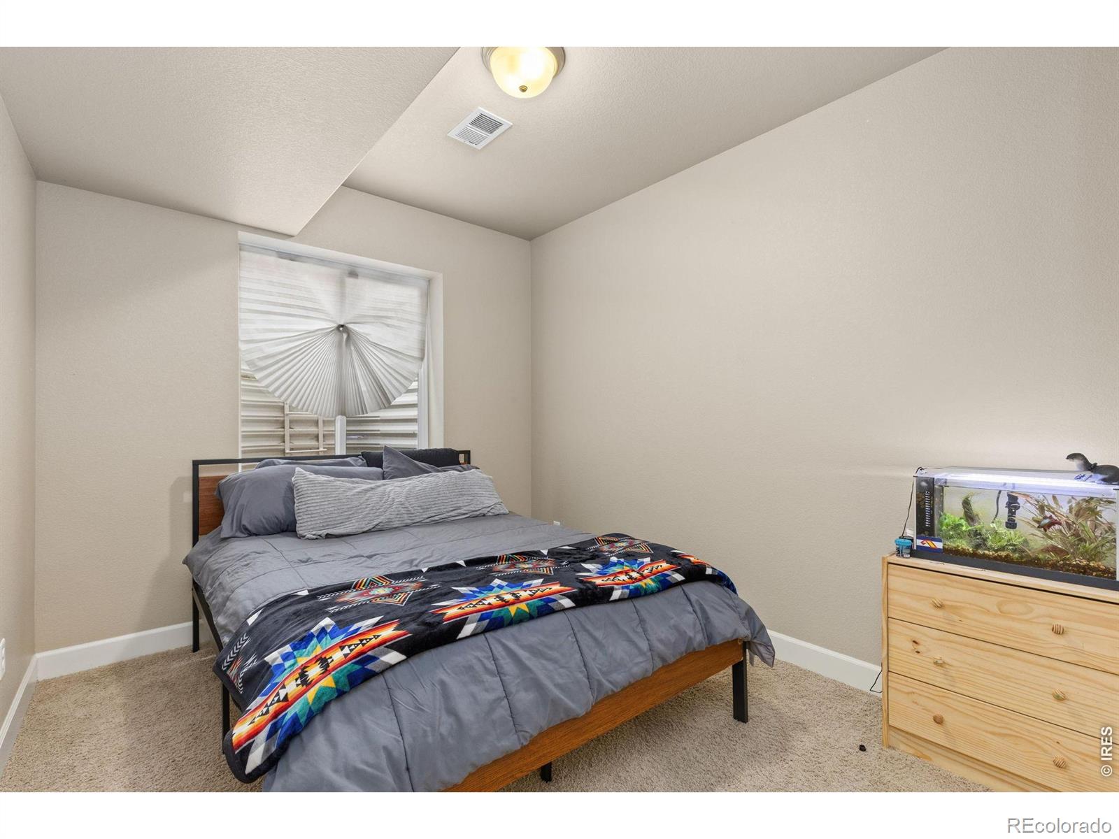 MLS Image #15 for 1513  chokeberry street,berthoud, Colorado