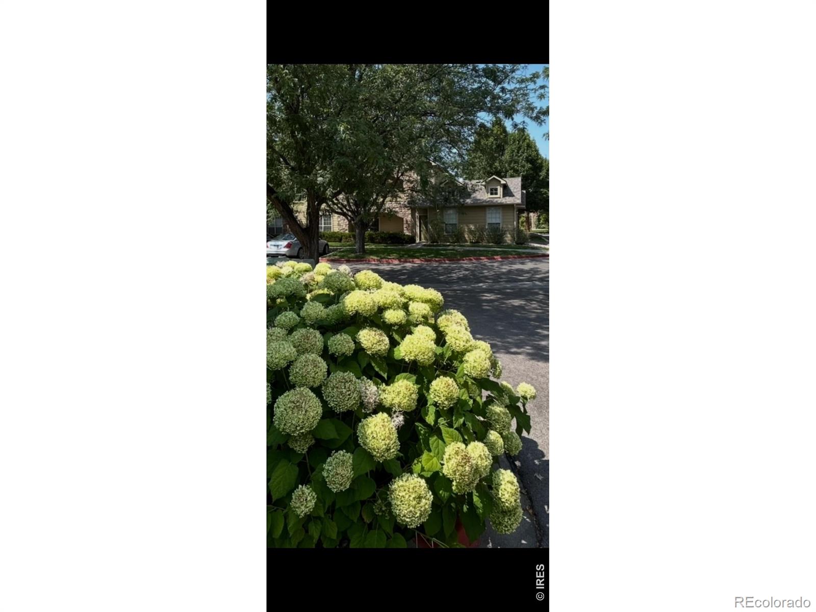 MLS Image #28 for 5620  fossil creek parkway,fort collins, Colorado