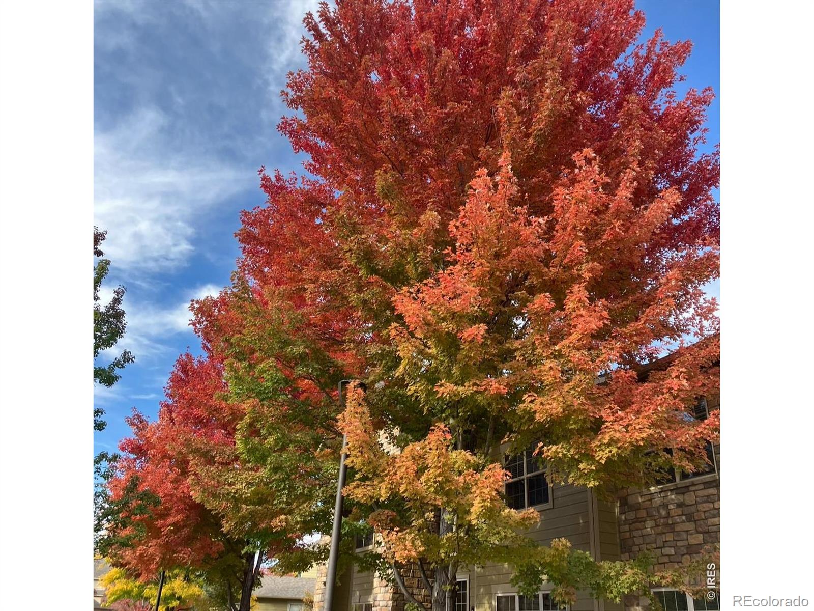 MLS Image #30 for 5620  fossil creek parkway,fort collins, Colorado