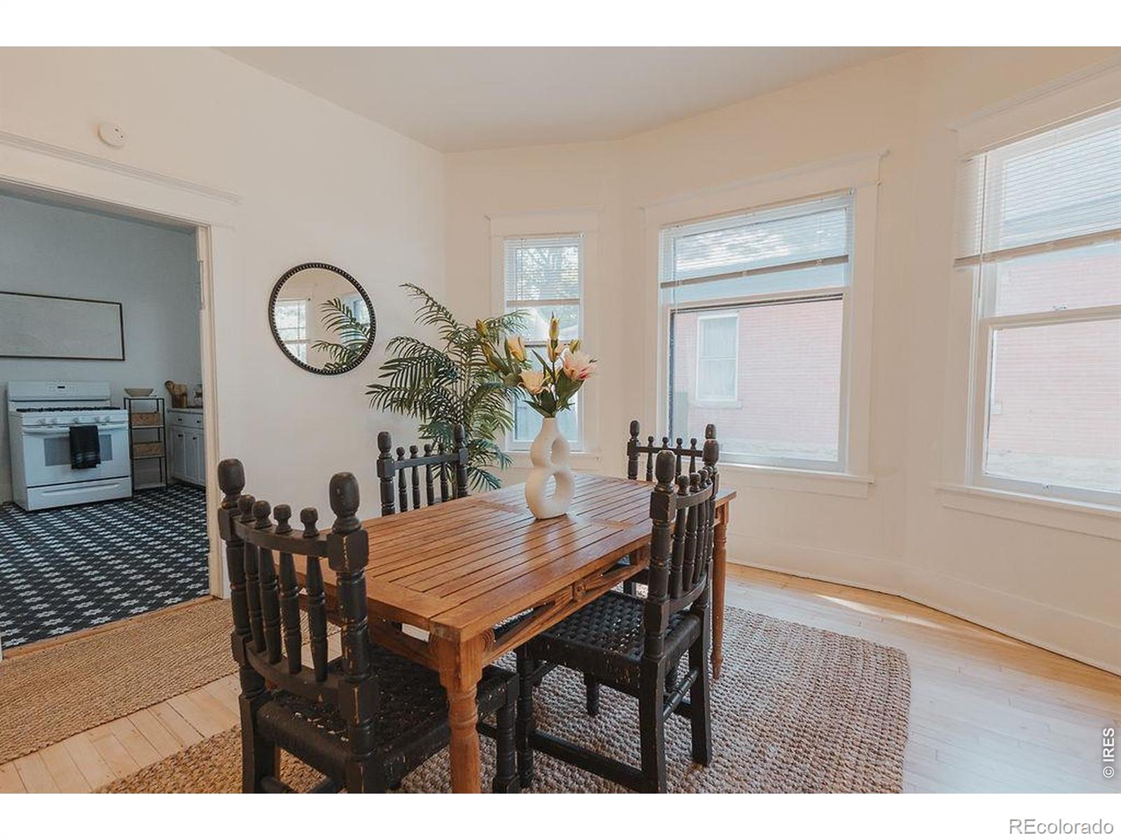 MLS Image #13 for 604 s meldrum street,fort collins, Colorado