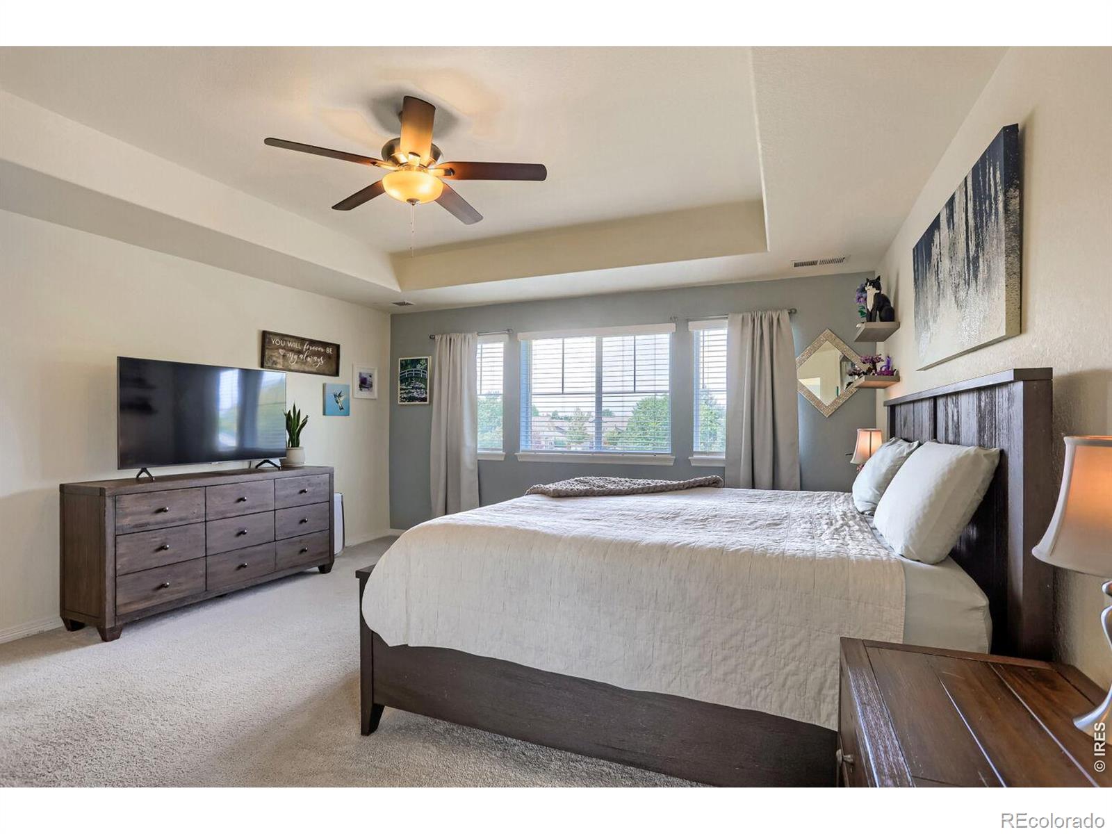 MLS Image #19 for 2401  provenance street,longmont, Colorado