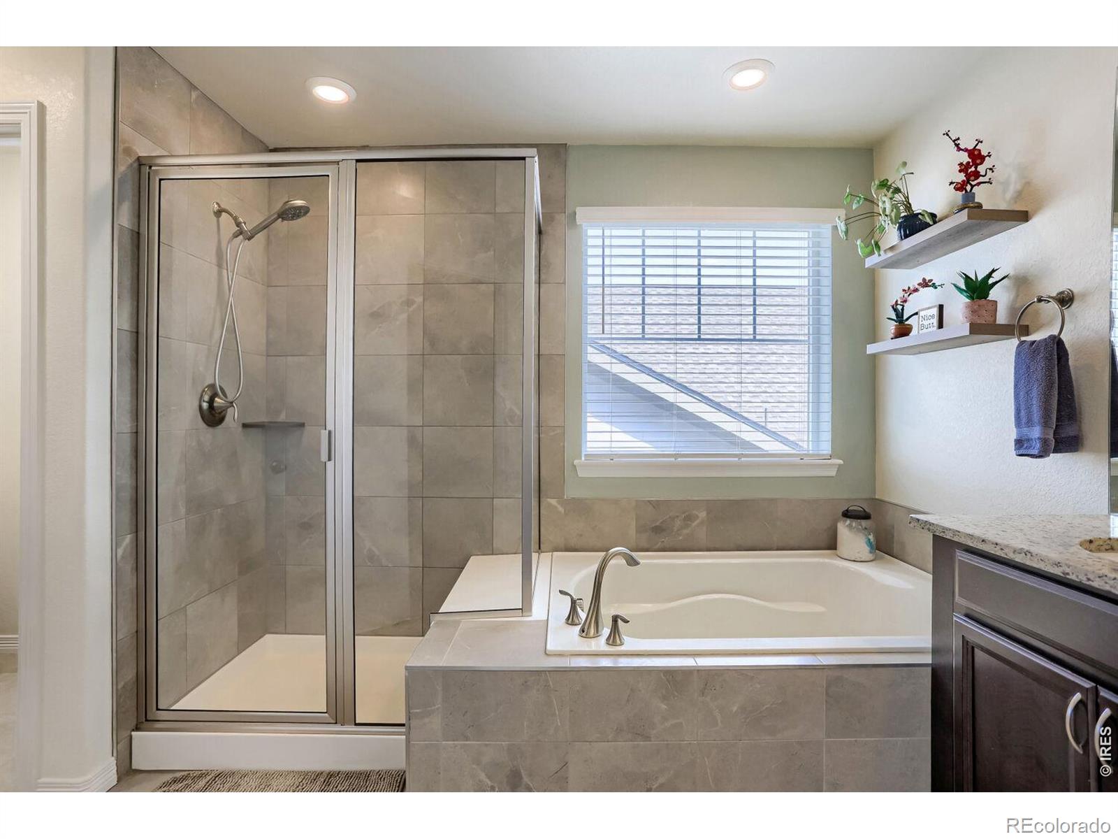 MLS Image #20 for 2401  provenance street,longmont, Colorado
