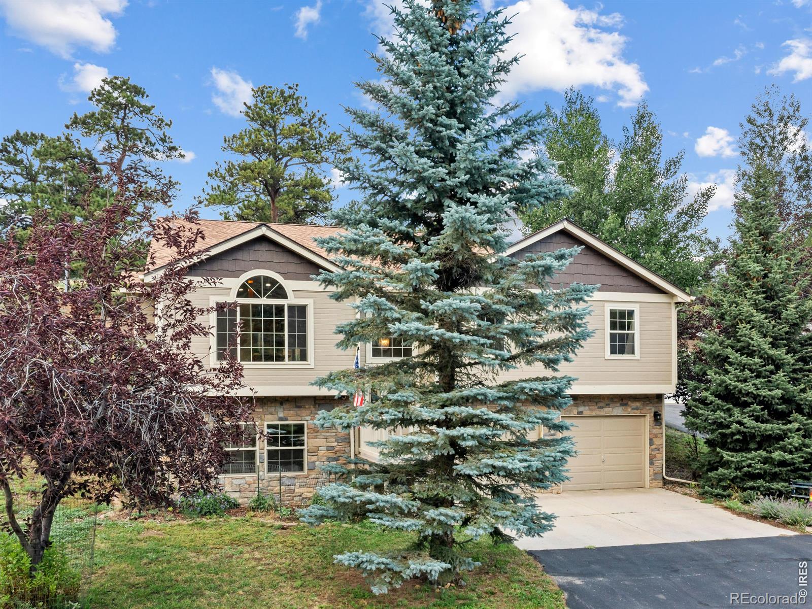 MLS Image #1 for 1635  brook court,estes park, Colorado