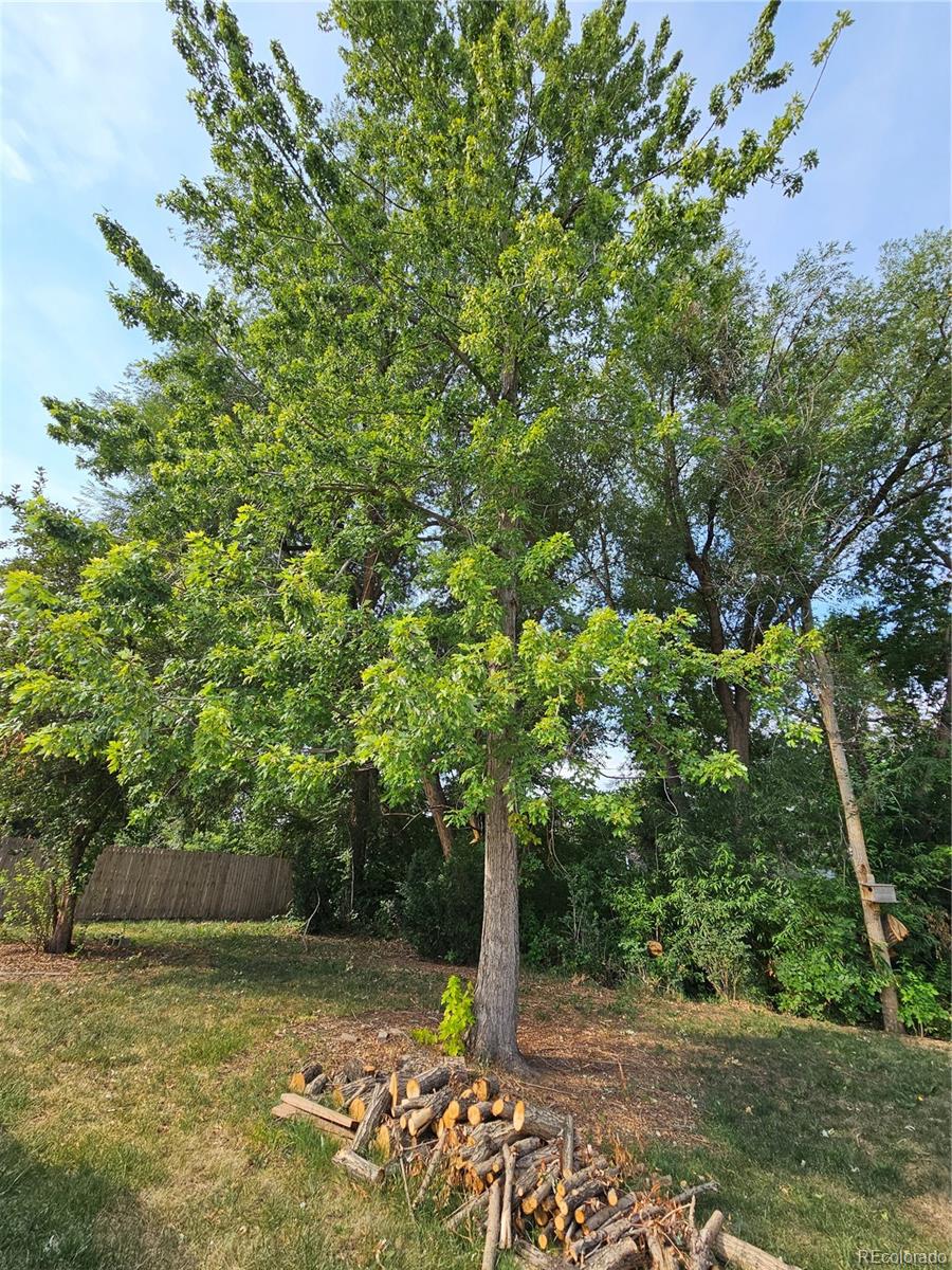 MLS Image #30 for 11  17th avenue,longmont, Colorado