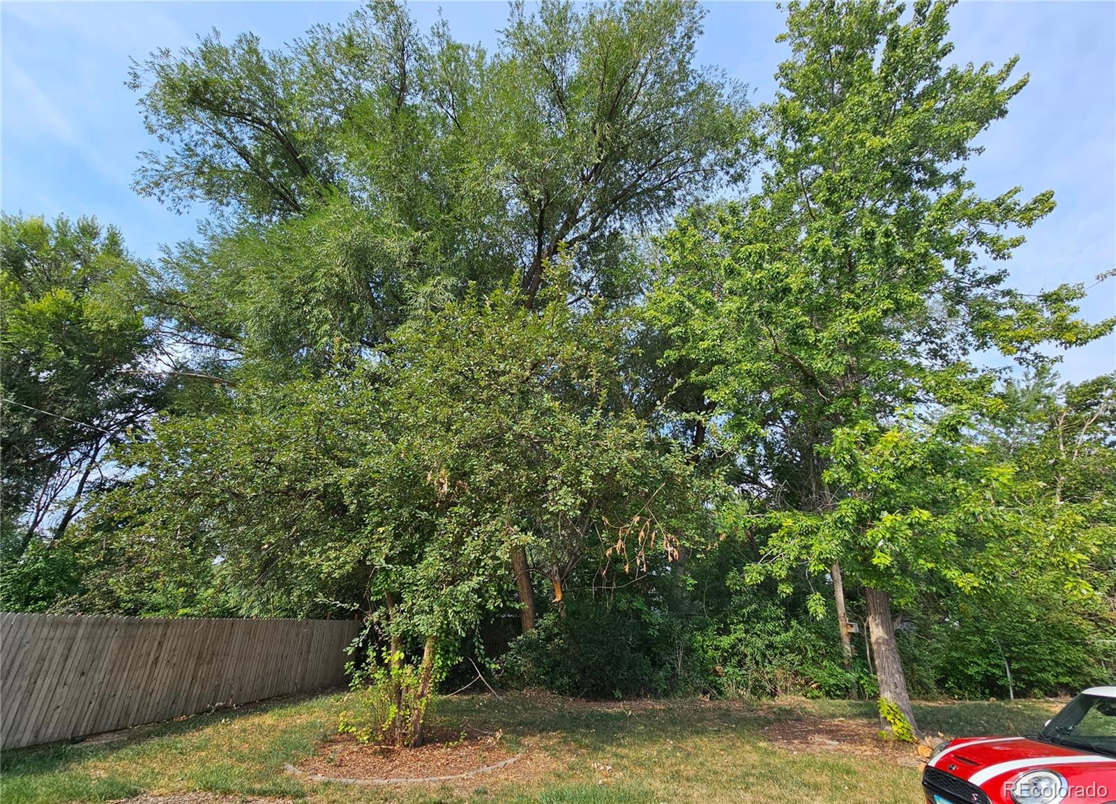 MLS Image #31 for 11  17th avenue,longmont, Colorado